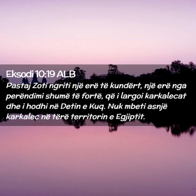 Picture 02 - Eksodi 10:19 ALB - Pastaj Zoti ngriti një erë të kundërt, një - Bible Verse Picture