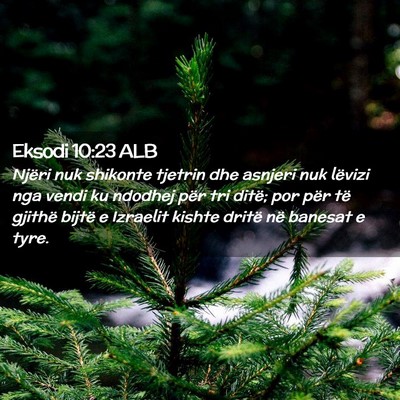 Picture 02 - Eksodi 10:23 ALB - Njëri nuk shikonte tjetrin dhe asnjeri nuk - Bible Verse Picture