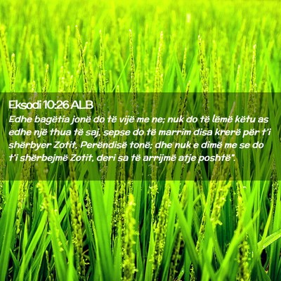 Picture 02 - Eksodi 10:26 ALB - Edhe bagëtia jonë do të vijë me ne; nuk do - Bible Verse Picture