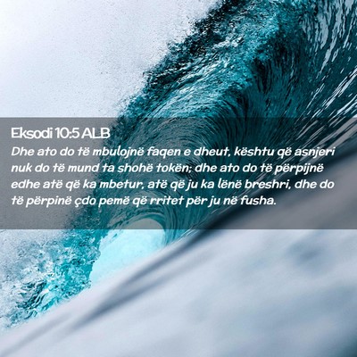 Picture 02 - Eksodi 10:5 ALB - Dhe ato do të mbulojnë faqen e dheut, kështu - Bible Verse Picture