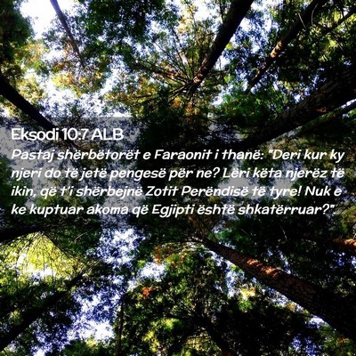 Picture 02 - Eksodi 10:7 ALB - Pastaj shërbëtorët e Faraonit i thanë: 