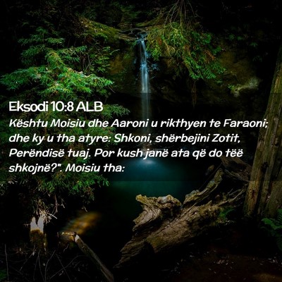 Picture 02 - Eksodi 10:8 ALB - Kështu Moisiu dhe Aaroni u rikthyen te Faraoni; - Bible Verse Picture