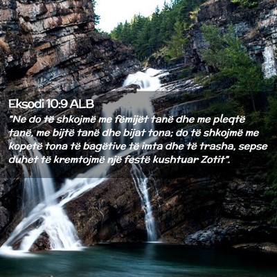 Picture 02 - Eksodi 10:9 ALB - 