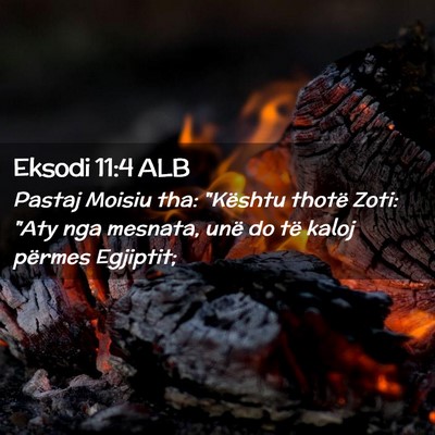 Picture 02 - Eksodi 11:4 ALB - Pastaj Moisiu tha: 