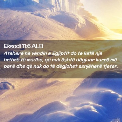 Picture 02 - Eksodi 11:6 ALB - Atëherë në vendin e Egjiptit do të ketë një - Bible Verse Picture