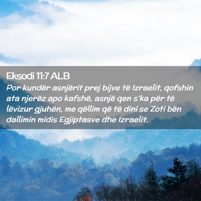 Picture 02 - Eksodi 11:7 ALB - Por kundër asnjërit prej bijve të Izraelit, - Bible Verse Picture