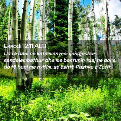 Picture 02 - Eksodi 12:11 ALB - Do ta hani në këtë mënyrë: ijengjeshur, - Bible Verse Picture