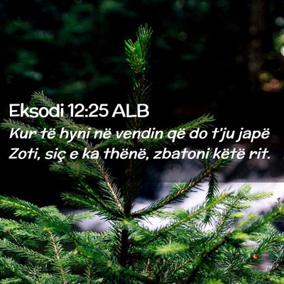 Picture 02 - Eksodi 12:25 ALB - Kur të hyni në vendin që do t’ju japë Zoti, - Bible Verse Picture