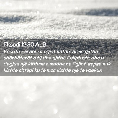Picture 02 - Eksodi 12:30 ALB - Kështu Faraoni u ngrit natën, ai me gjithë - Bible Verse Picture