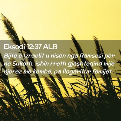 Picture 02 - Eksodi 12:37 ALB - Bijtë e Izraelit u nisën nga Ramsesi për në - Bible Verse Picture
