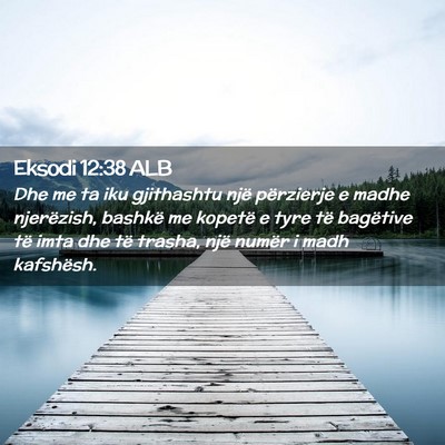 Picture 02 - Eksodi 12:38 ALB - Dhe me ta iku gjithashtu një përzierje e madhe - Bible Verse Picture