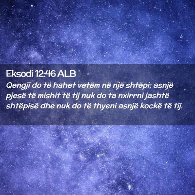 Picture 02 - Eksodi 12:46 ALB - Qengji do të hahet vetëm në një shtëpi; - Bible Verse Picture