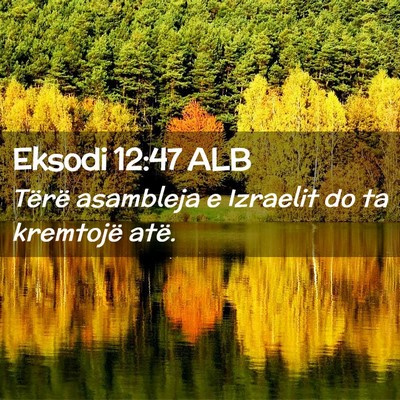 Picture 02 - Eksodi 12:47 ALB - Tërë asambleja e Izraelit do ta kremtojë - Bible Verse Picture