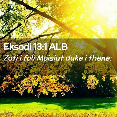 Picture 02 - Eksodi 13:1 ALB - Zoti i foli Moisiut duke i - Bible Verse Picture
