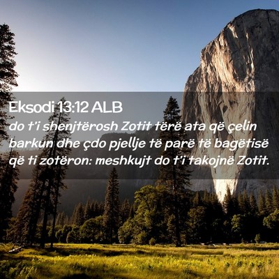 Picture 02 - Eksodi 13:12 ALB - do t’i shenjtërosh Zotit tërë ata që çelin - Bible Verse Picture