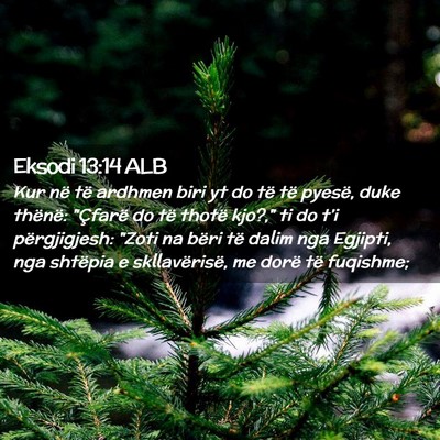 Picture 02 - Eksodi 13:14 ALB - Kur në të ardhmen biri yt do të të pyesë, - Bible Verse Picture