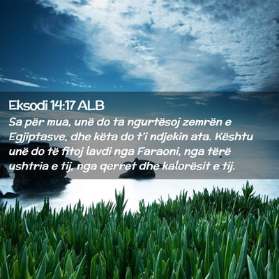 Picture 02 - Eksodi 14:17 ALB - Sa për mua, unë do ta ngurtësoj zemrën e - Bible Verse Picture