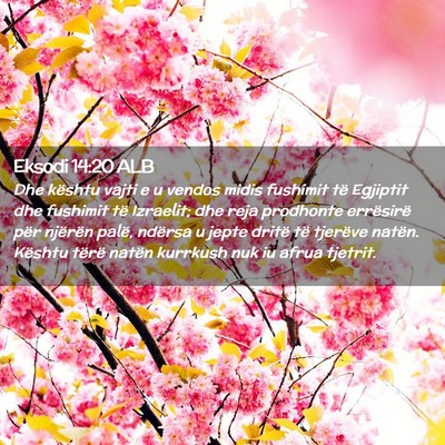 Picture 02 - Eksodi 14:20 ALB - Dhe kështu vajti e u vendos midis fushimit të - Bible Verse Picture