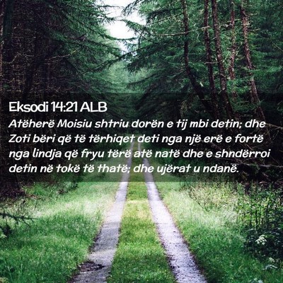 Picture 02 - Eksodi 14:21 ALB - Atëherë Moisiu shtriu dorën e tij mbi detin; - Bible Verse Picture