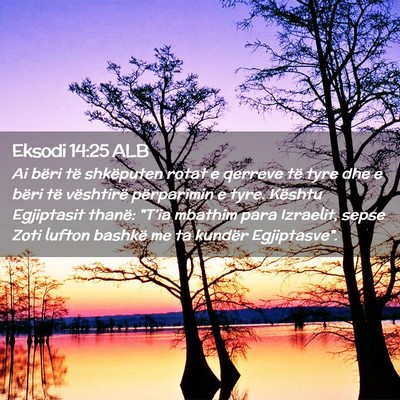 Picture 02 - Eksodi 14:25 ALB - Ai bëri të shkëputen rotat e qerreve të tyre - Bible Verse Picture