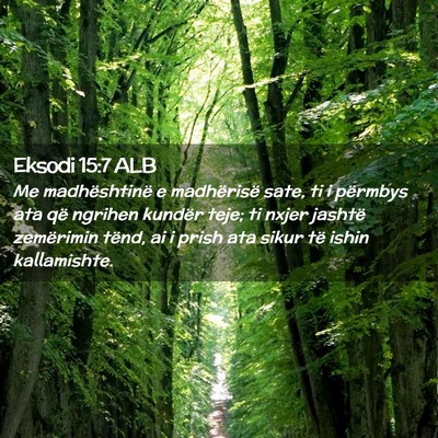 Picture 02 - Eksodi 15:7 ALB - Me madhështinë e madhërisë sate, ti i - Bible Verse Picture