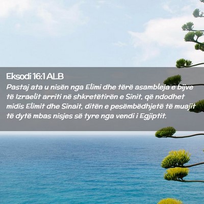 Picture 02 - Eksodi 16:1 ALB - Pastaj ata u nisën nga Elimi dhe tërë - Bible Verse Picture