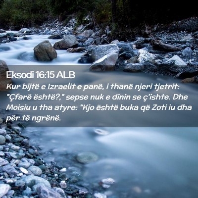 Picture 02 - Eksodi 16:15 ALB - Kur bijtë e Izraelit e panë, i thanë njeri - Bible Verse Picture