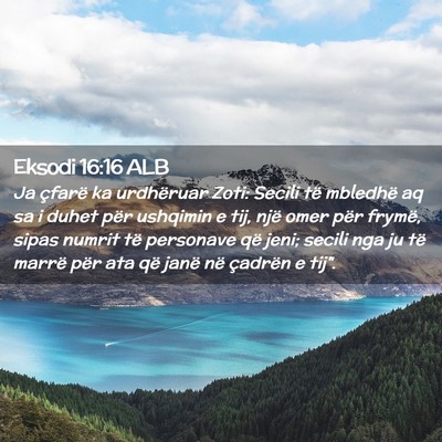 Picture 02 - Eksodi 16:16 ALB - Ja çfarë ka urdhëruar Zoti: Secili të - Bible Verse Picture