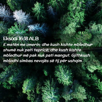 Picture 02 - Eksodi 16:18 ALB - E matën me omerin; dhe kush kishte mbledhur - Bible Verse Picture