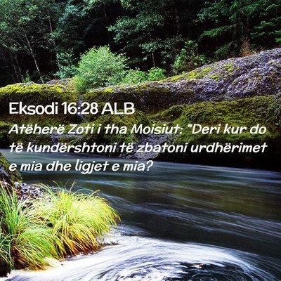 Picture 02 - Eksodi 16:28 ALB - Atëherë Zoti i tha Moisiut: 