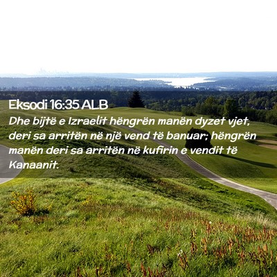 Picture 02 - Eksodi 16:35 ALB - Dhe bijtë e Izraelit hëngrën manën dyzet - Bible Verse Picture