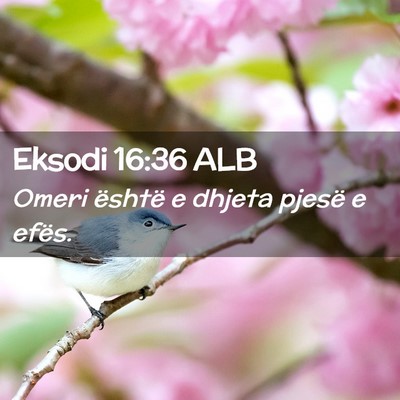 Picture 02 - Eksodi 16:36 ALB - Omeri është e dhjeta pjesë e - Bible Verse Picture