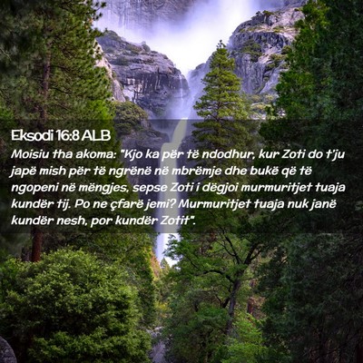 Picture 02 - Eksodi 16:8 ALB - Moisiu tha akoma: 