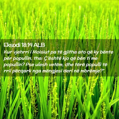 Picture 02 - Eksodi 18:14 ALB - Kur vjehrri i Moisiut pa të gjitha ato që ky - Bible Verse Picture