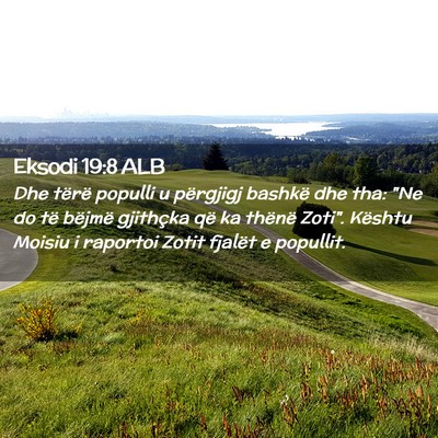 Picture 02 - Eksodi 19:8 ALB - Dhe tërë populli u përgjigj bashkë dhe tha: - Bible Verse Picture