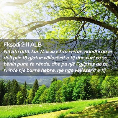 Picture 02 - Eksodi 2:11 ALB - Në ato ditë, kur Moisiu ishte rritur, ndodhi - Bible Verse Picture