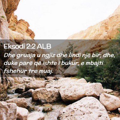 Picture 02 - Eksodi 2:2 ALB - Dhe gruaja u ngjiz dhe lindi një bir; dhe, duke - Bible Verse Picture