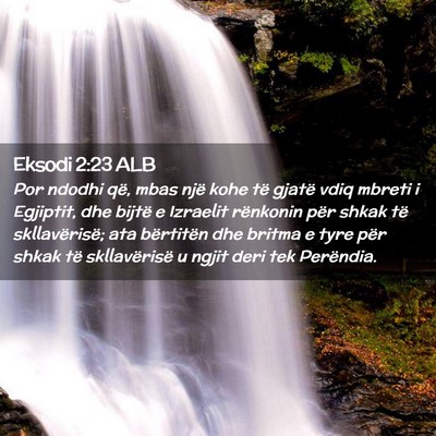 Picture 02 - Eksodi 2:23 ALB - Por ndodhi që, mbas një kohe të gjatë vdiq - Bible Verse Picture