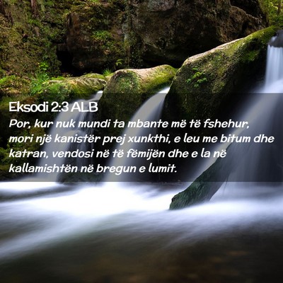 Picture 02 - Eksodi 2:3 ALB - Por, kur nuk mundi ta mbante më të fshehur, - Bible Verse Picture