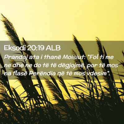 Picture 02 - Eksodi 20:19 ALB - Prandaj ata i thanë Moisiut: 