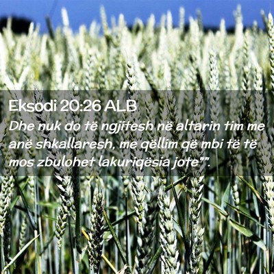 Picture 02 - Eksodi 20:26 ALB - Dhe nuk do të ngjitesh në altarin tim me anë - Bible Verse Picture