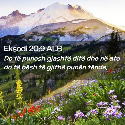 Picture 02 - Eksodi 20:9 ALB - Do të punosh gjashtë ditë dhe në ato do të - Bible Verse Picture