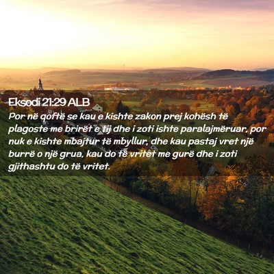 Picture 02 - Eksodi 21:29 ALB - Por në qoftë se kau e kishte zakon prej kohësh - Bible Verse Picture