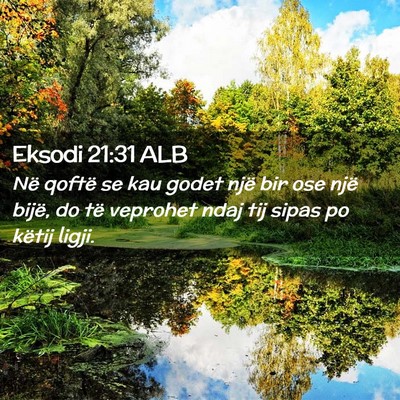 Picture 02 - Eksodi 21:31 ALB - Në qoftë se kau godet një bir ose një bijë, - Bible Verse Picture