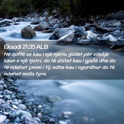 Picture 02 - Eksodi 21:35 ALB - Në qoftë se kau i një njeriu godet për vdekje - Bible Verse Picture
