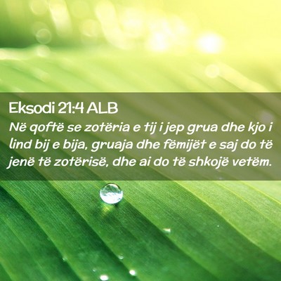Picture 02 - Eksodi 21:4 ALB - Në qoftë se zotëria e tij i jep grua dhe kjo i - Bible Verse Picture