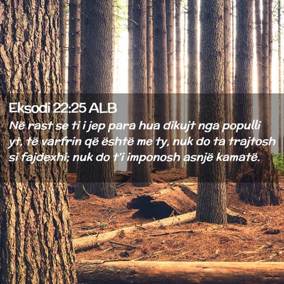 Picture 02 - Eksodi 22:25 ALB - Në rast se ti i jep para hua dikujt nga populli - Bible Verse Picture