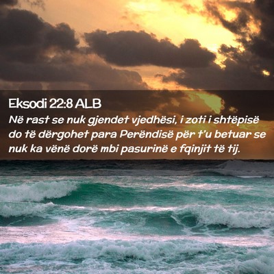 Picture 02 - Eksodi 22:8 ALB - Në rast se nuk gjendet vjedhësi, i zoti i - Bible Verse Picture