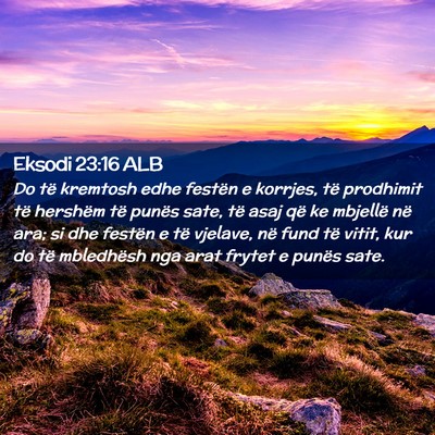 Picture 02 - Eksodi 23:16 ALB - Do të kremtosh edhe festën e korrjes, të - Bible Verse Picture