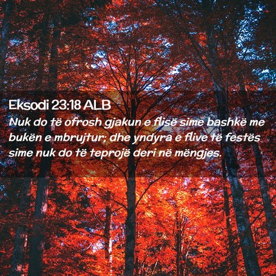 Picture 02 - Eksodi 23:18 ALB - Nuk do të ofrosh gjakun e flisë sime bashkë me - Bible Verse Picture